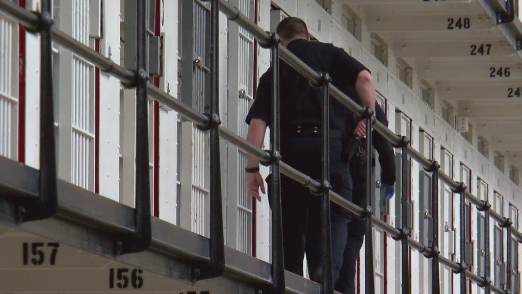 More than two dozen Georgia prisons on lockdown over security concerns following inmate fight — Smyrna Health news
