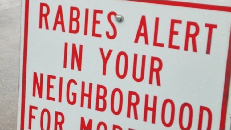 Positive rabies alert issued in Hall County after dog tests positive — Smyrna Community news